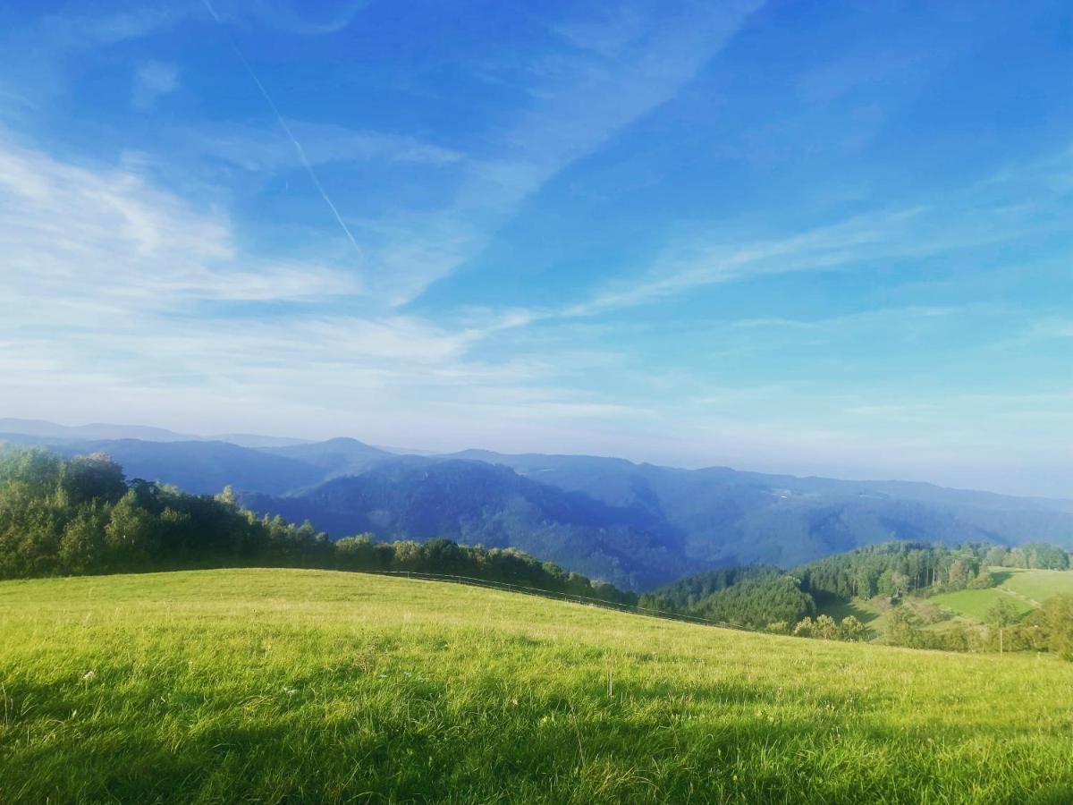 B71 - Appartement Im Herzen Des Schwarzwalds Schramberg Exteriör bild