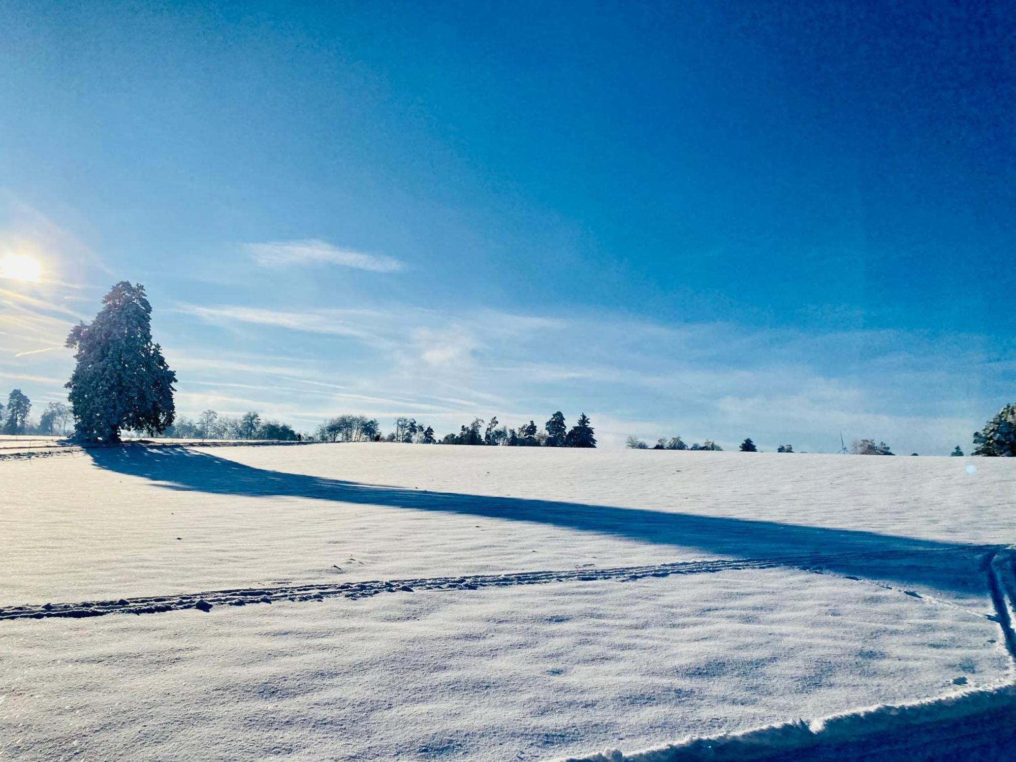 B71 - Appartement Im Herzen Des Schwarzwalds Schramberg Exteriör bild